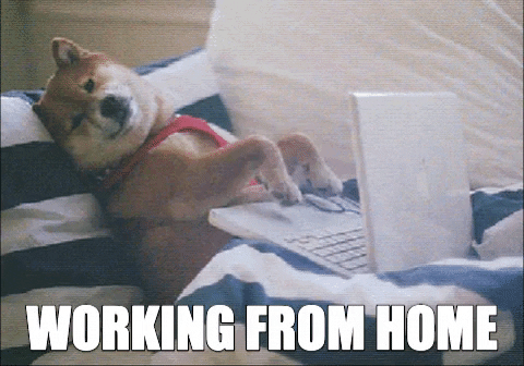 Mi opinión sobre el trabajo remoto 💻